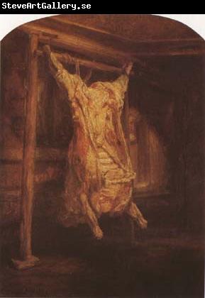 REMBRANDT Harmenszoon van Rijn The Slaughterd Ox (mk08)